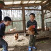 「いただきます」の意味を考える!食事の前になぜ手を合わせるのか?