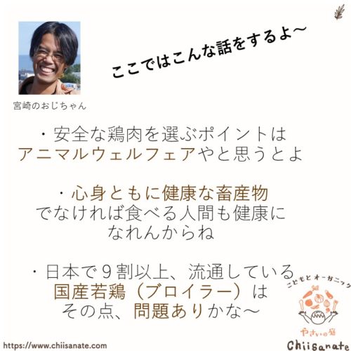安全な鶏肉の選び方