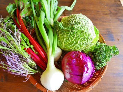 日本野菜から西洋野菜までの写真