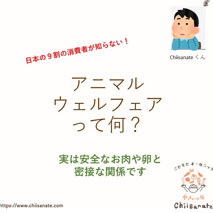 アニマルウェルフェアを知ってる 安全な肉や卵の必須条件だよ Chiisanate ちいさなて の食べstory