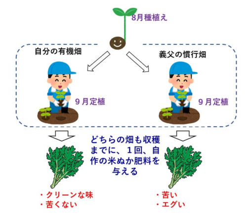実験結果 野菜の味の違いは肥料の量の違い 成長の差も歴然です Chiisanate ちいさなて の食べstory